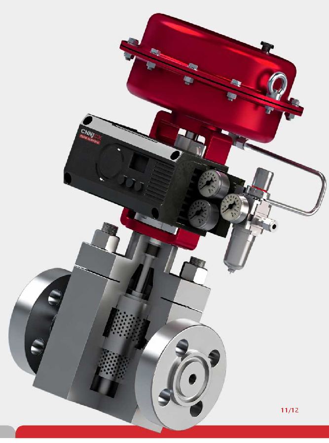 Porous Valve Cage Pressure Reducing Control Valve product visual