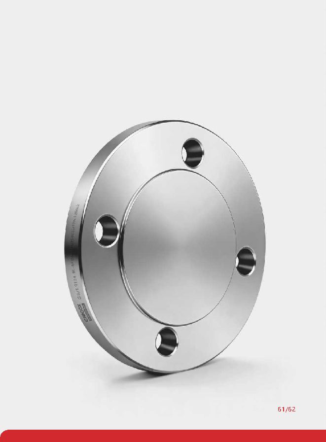 Blind Flange (BL) product visual