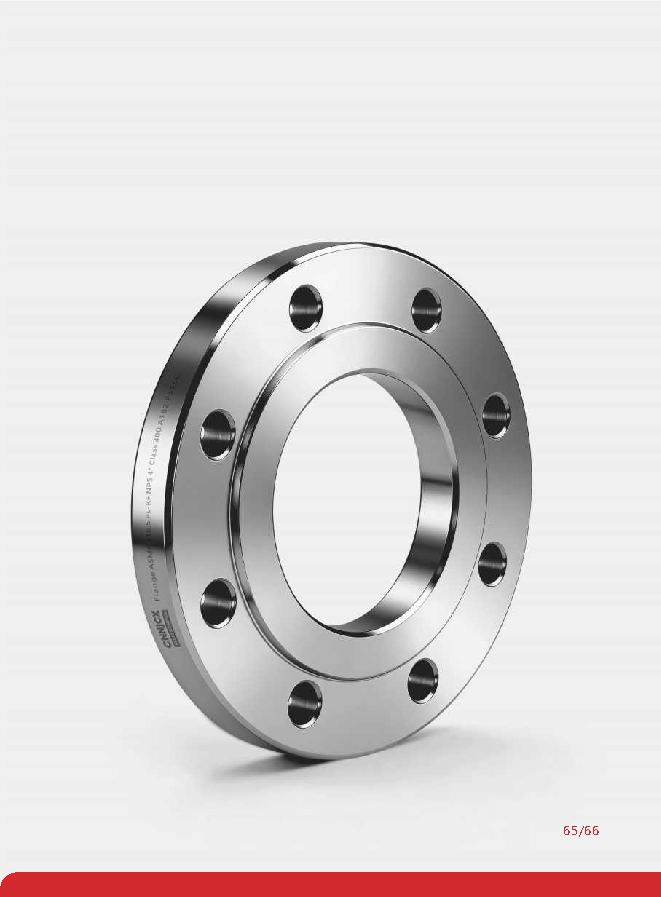 ASME Plate Flat Welding Flange (PL) product visual