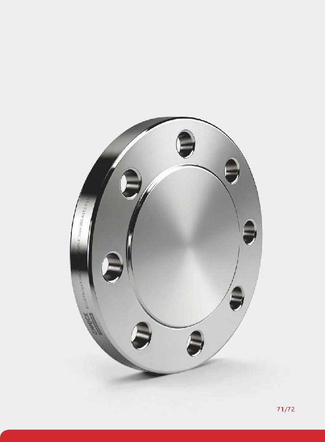 ASME Blind Flange (BL) product visual