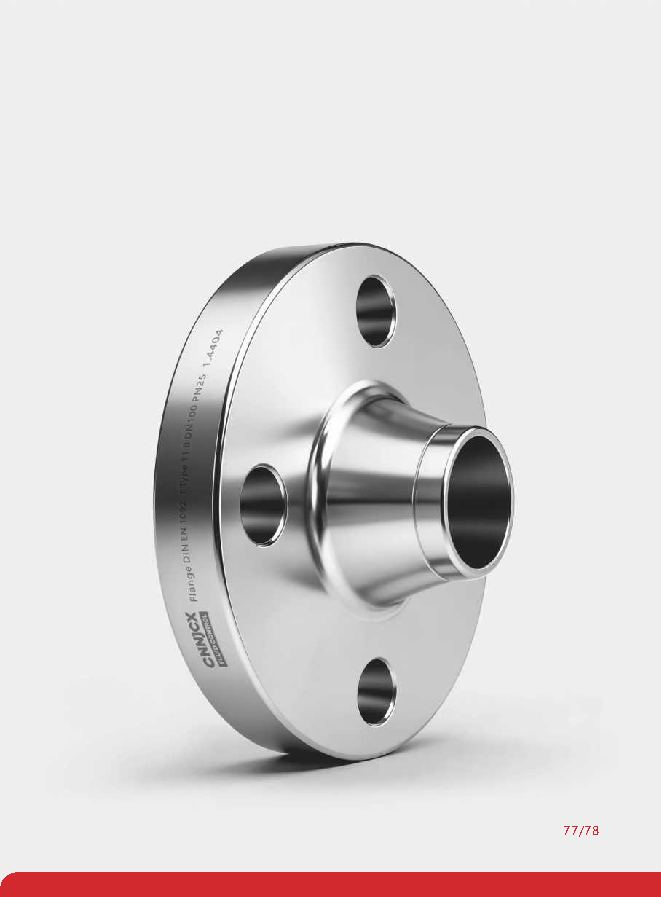 EN Weld Neck Flange (WN) product visual